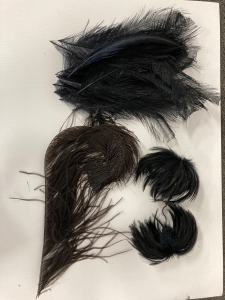 Assorted Feathers For Hat Making