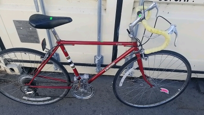 27" The Raleigh Rapide Red Bike