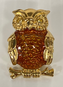 Gold Toned Owl Pin