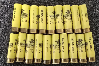 (19) Winchester Dove & Quail Load 20ga Shotgun Shells