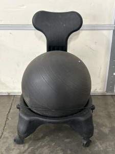Exercise Ball Chair