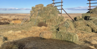 ISCC Fields (220) Bales Grass Hay