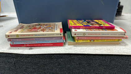 Large Collection of Books, (2) Outdoor Table Lantern, Various Blankets, Home Decor, Weights, and More