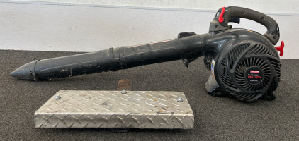 Hitch Step & Craftsman Leaf Blower