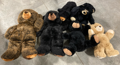 Collection of Teddy Bears