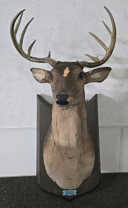 (1) Artificial Singing Deer Mount