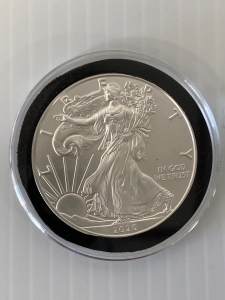2020 Silver Eagle/ Walking Liberty Dollar