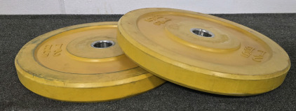 (2) 25lb Rubber Weight Plates