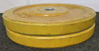 (2) 25lb Rubber Weight Plates - 3