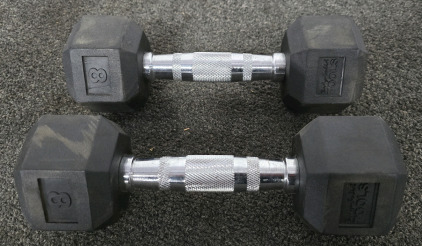 BodyFit 8lbs Dumbells