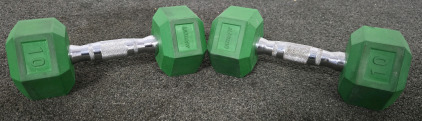 UltraFit 10lb Dumbells