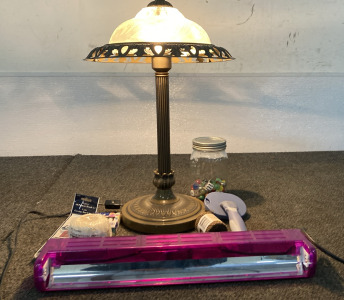 Beautiful Table Lamp, dog Brush, Crafting Supplies, & More!