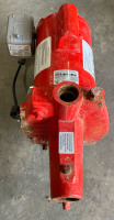 Red Lion Well Pump - 2