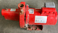 Red Lion Well Pump - 3