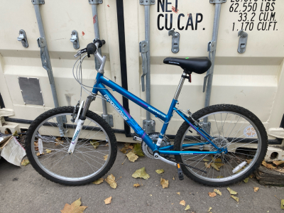 24” RoadMaster Granite Peak Teal and Purple Bike