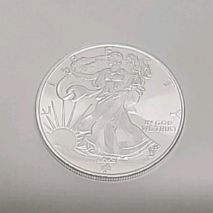 (1) Walking Liberty 1-OZ .999 Fine Silver Coin