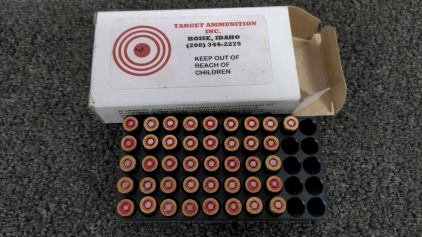 (41) rnds .380 Ammo