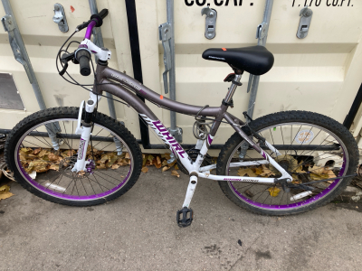 26&rdquo; Genesis WhirlWind Great And Purple Bike