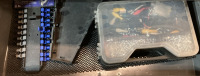 Craftsman Tool Box W/Tools - 6