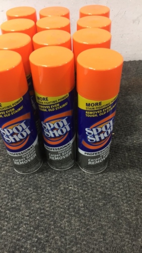 Spot Shot - Carpet Stain Remover