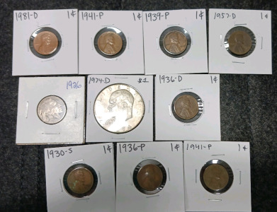 Liberty Dollar, Buffalo Nickel, (8) Pennies (Year and Mint In Photos)