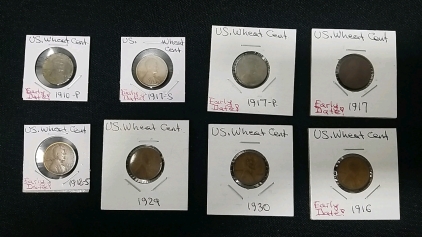 (8) Individual Old Wheat Pennies