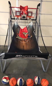 Pro Court Basketball Game