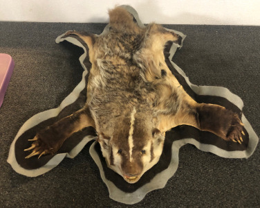 Badger Rug