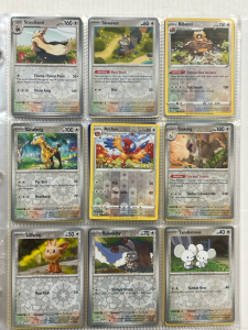 Binder of 160+ Pok&eacute;mon Cards Includes: Rares and Holos