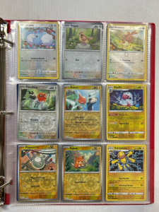 Binder of 160+ Pok&eacute;mon Cards Includes: Rares and Holos