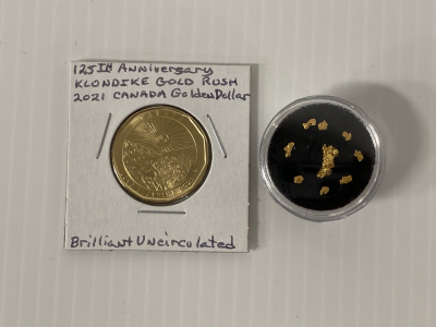 (9) Alaska/ Klondike Gold Nuggets and Gold Rush Coin