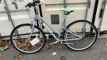 27” Gray Beach Cruiser Bike