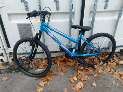 Blue And Pink Huffy Alpine Mountain Bike