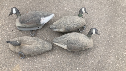 Inflateable Goose Decoys