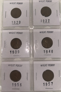 6- Wheat Pennies