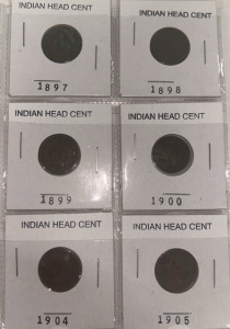 6- Indian Head Cents