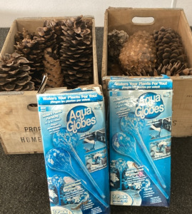 2 WOOD MILK CRATES WITH VERY LARGE PINE CONES, 2 PACKS OF AQUA GLOBES PLANT WATERERS.