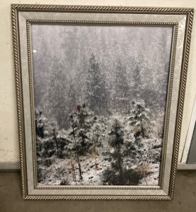 Picture of Snowy Pine Trees With Frame