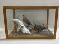 (1) Custom Glass Terrarium W/2 Partridge & IDAHO Bighorn