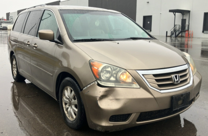 2010 HONDA ODYSSEY - CHROME TRIM!