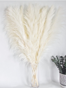 (18) 48" Pampas Grass Stems - White - ( (6) 3-Packs)