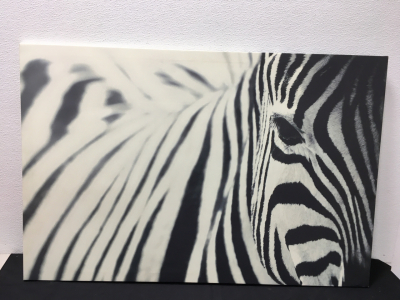 Zebra Painting