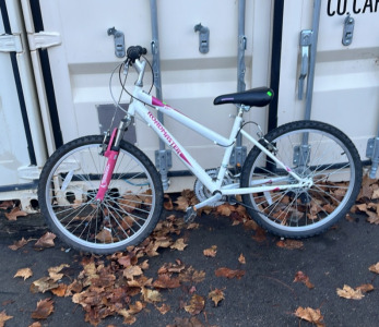24&rdquo; Road Master Bike