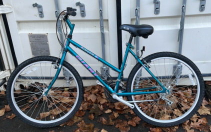 Turquoise Rincon Giant 20x19.5