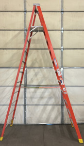Werner 10FT Ladder