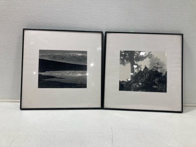 (2) IKEA Framed Pictures- Metal Frame- 20&rdquo;x20&rdquo;