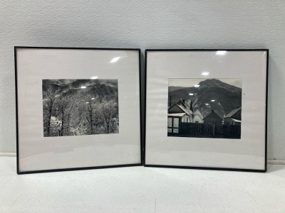 (2) IKEA Black and White Pictures-Metal Frame- 20&rdquo;x20&rdquo;