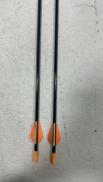 Bear Orange Compound Bow, (2) Arrows with Practice Heads - 6