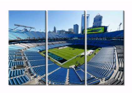 (1) TUMOVO 3-Panel Carolina Panthers / First Energy Stadium Canvas Wall Art<br/>