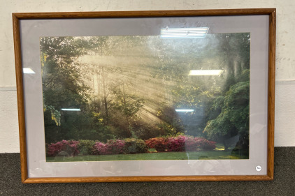 Beautiful Artwork of a Forest